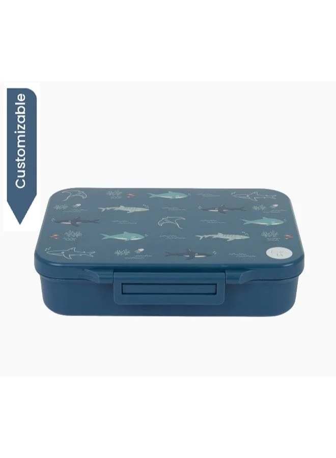 Little IA Open Water Tritan Lunch Box
