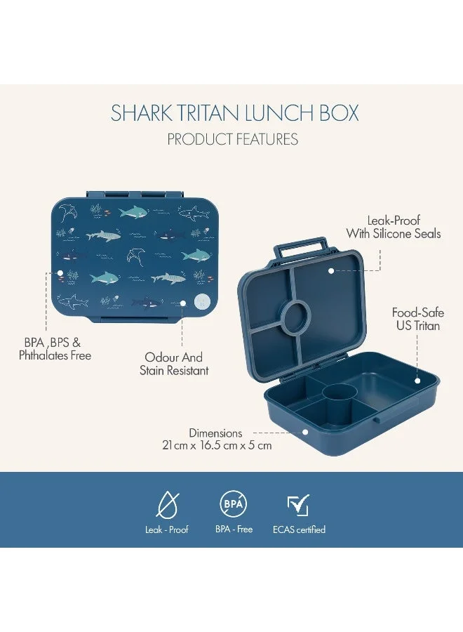Little IA  Open Water Tritan Lunch Box for Men | Best Price UAE