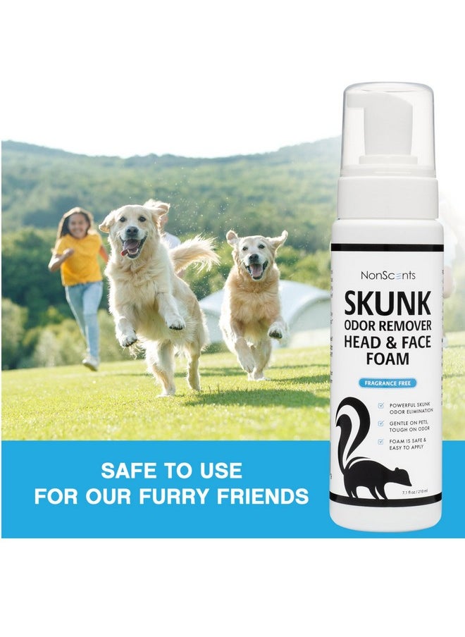 Skunk Odor Remover Head & Face Foam  Easily Eliminate Skunk Odor From Pets, Carpets, Clothing, ReadyToUse For Dogs, Cats, Home, Carpet, Car, Clothes  Fragrance Free Freshener - pzsku/ZF0B7AC1C50578C9BE0FCZ/45/_/1726222440/40cb0056-b162-404e-9379-4355fb913cf9