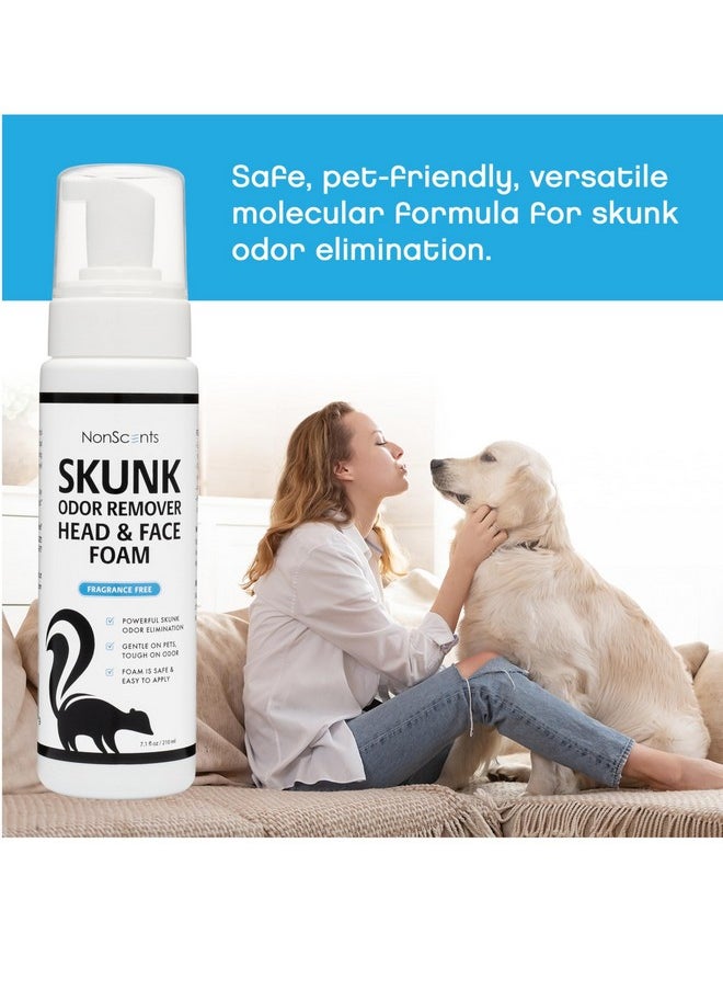 Skunk Odor Remover Head & Face Foam  Easily Eliminate Skunk Odor From Pets, Carpets, Clothing, ReadyToUse For Dogs, Cats, Home, Carpet, Car, Clothes  Fragrance Free Freshener - pzsku/ZF0B7AC1C50578C9BE0FCZ/45/_/1726222442/cd582d3a-6805-468d-8cfb-c56443846b6c