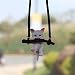 AMIORO Cute Branch Cat Car pendant Interior Rearview Mirrors kitten Charms Home Ornaments 1 - Image 2