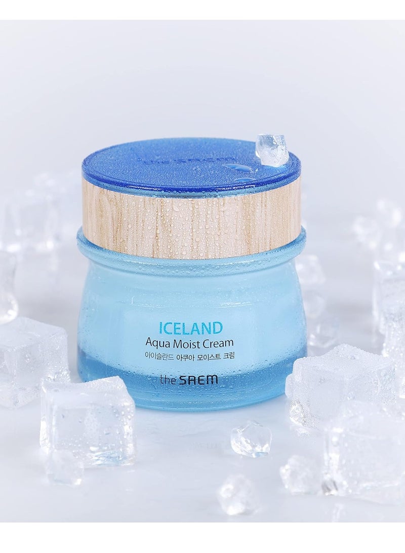 THESAEM [the SAEM] Iceland Aqua Moist Cream 60ml - Moisture Coating Hydrating Facial Cream with Iceland Mineral Water for Dry Skin, Hypoallergenic Safe Formula - Image 2