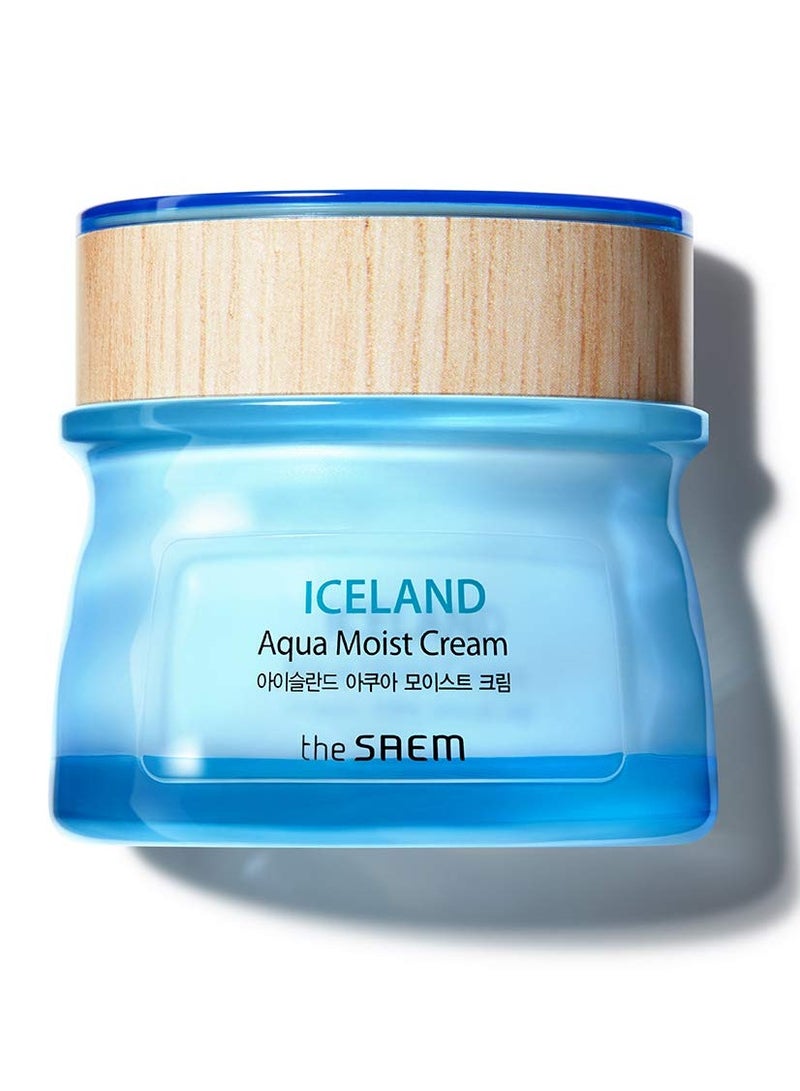 THESAEM [the SAEM] Iceland Aqua Moist Cream 60ml - Moisture Coating Hydrating Facial Cream with Iceland Mineral Water for Dry Skin, Hypoallergenic Safe Formula - Image 1