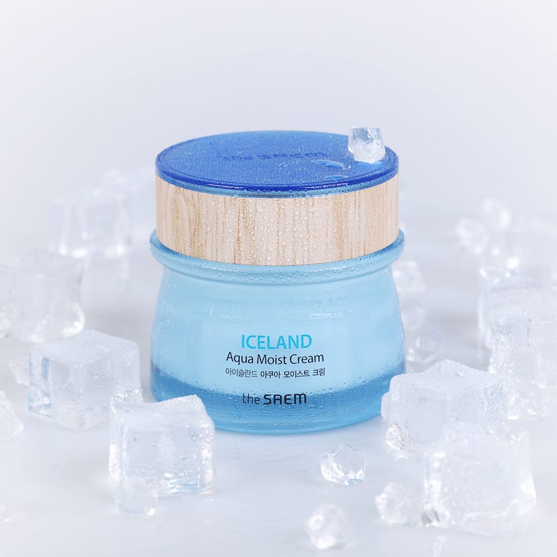 THESAEM Iceland Aqua Moist Cream - Intensive Hydrating Face Moisturizer with Icelandic Mineral Water, Kelp & Marine Active Ingredients - Deep Moisture Barrier Cream for Dry Sensitive Skin, 2.02 oz. - Image 4