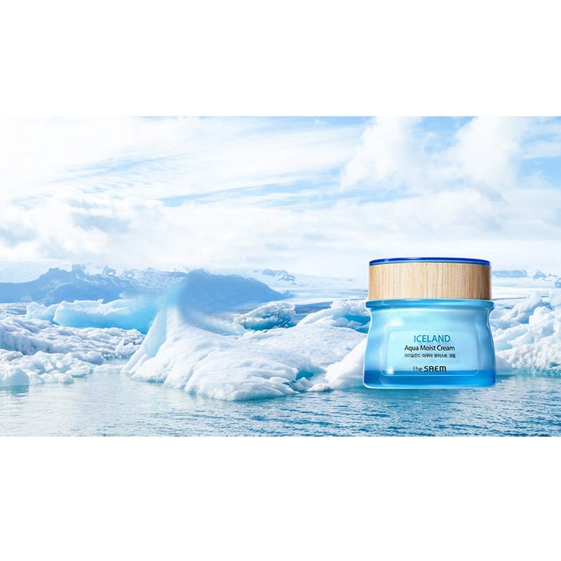 THESAEM Iceland Aqua Moist Cream - Intensive Hydrating Face Moisturizer with Icelandic Mineral Water, Kelp & Marine Active Ingredients - Deep Moisture Barrier Cream for Dry Sensitive Skin, 2.02 oz. - Image 2