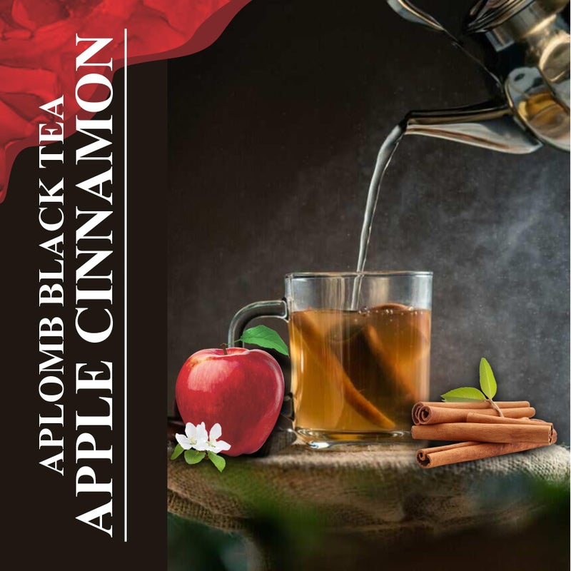 Aplomb Apple Cinnamon Black Tea/Enriched with Vitamin C | Immunity Booster | Tea Gift Pack | 30 Bags (Pack of 1) - Image 2