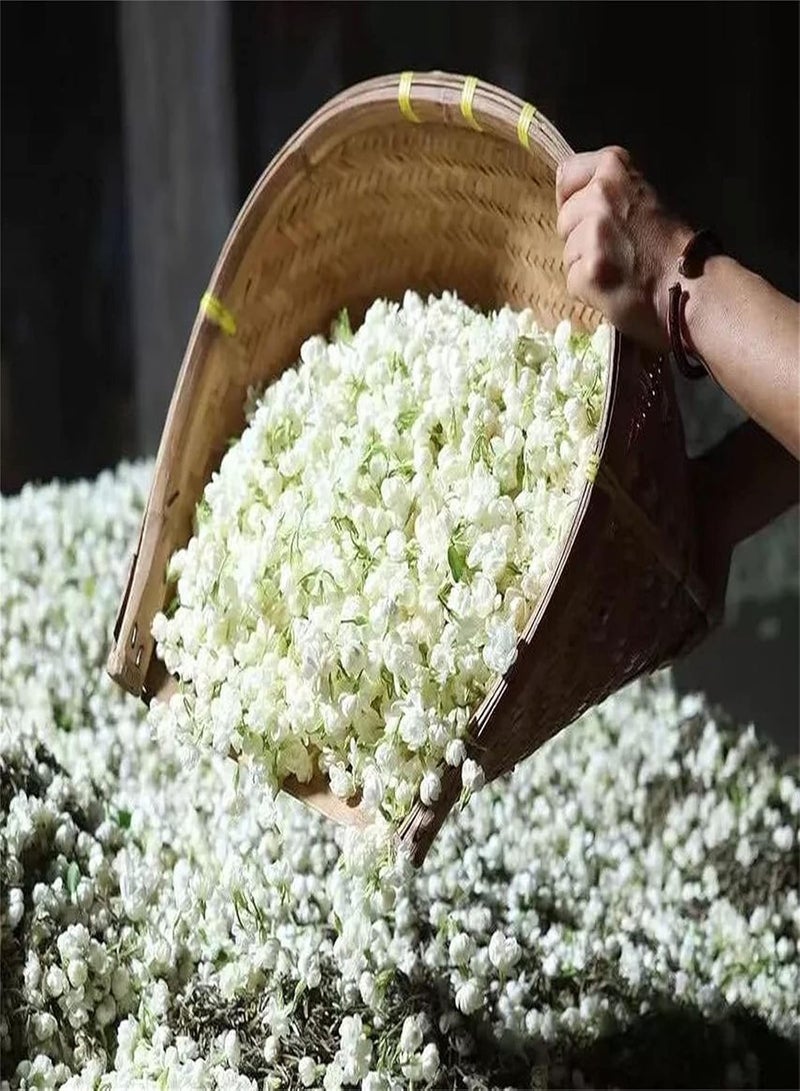 GGOOT Cute Fragrance Jasmine Seeds Potted Garden Plants Beautify The Environment Aromatic Plants Absolutely Beautiful Flower Seed Strong Growing Pop Flower Herb Garden-200pcs - Image 1
