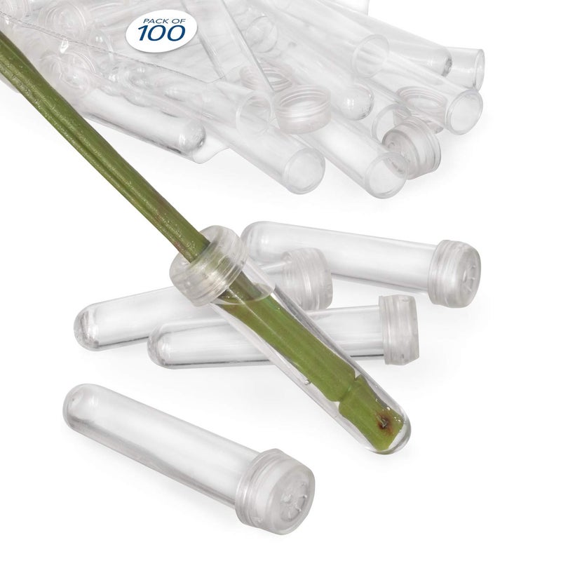 Royal Imports Royal Imports Floral Water Tubes with Caps  3 Clear Plastic Flower Vials for Single Stem Roses Buds Bouquets  Standard Style 12 Opening  100 Pack 