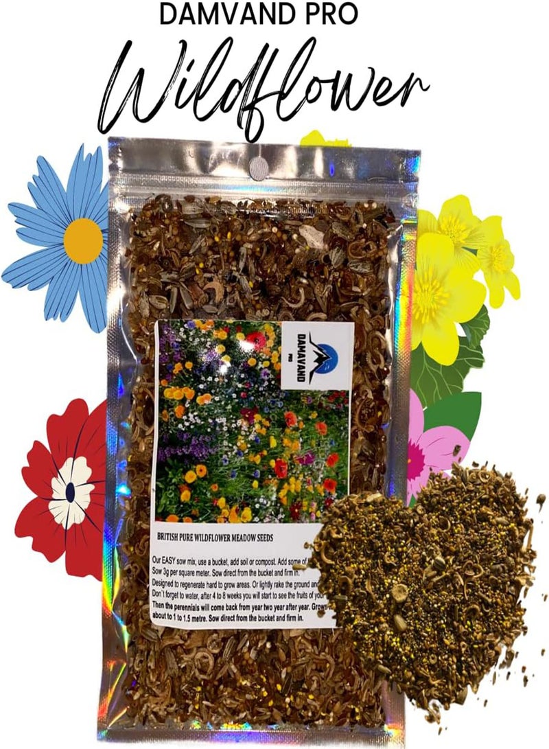 GGOOT Mix of 21 Wildflower Seeds UK Wild Flower Seed Annual Meadow Save Plants Attracts Bees & Butterfly Pure Wildflower Seeds UK Supplier Flower Seeds Wholesale (2 g)  - Image 2