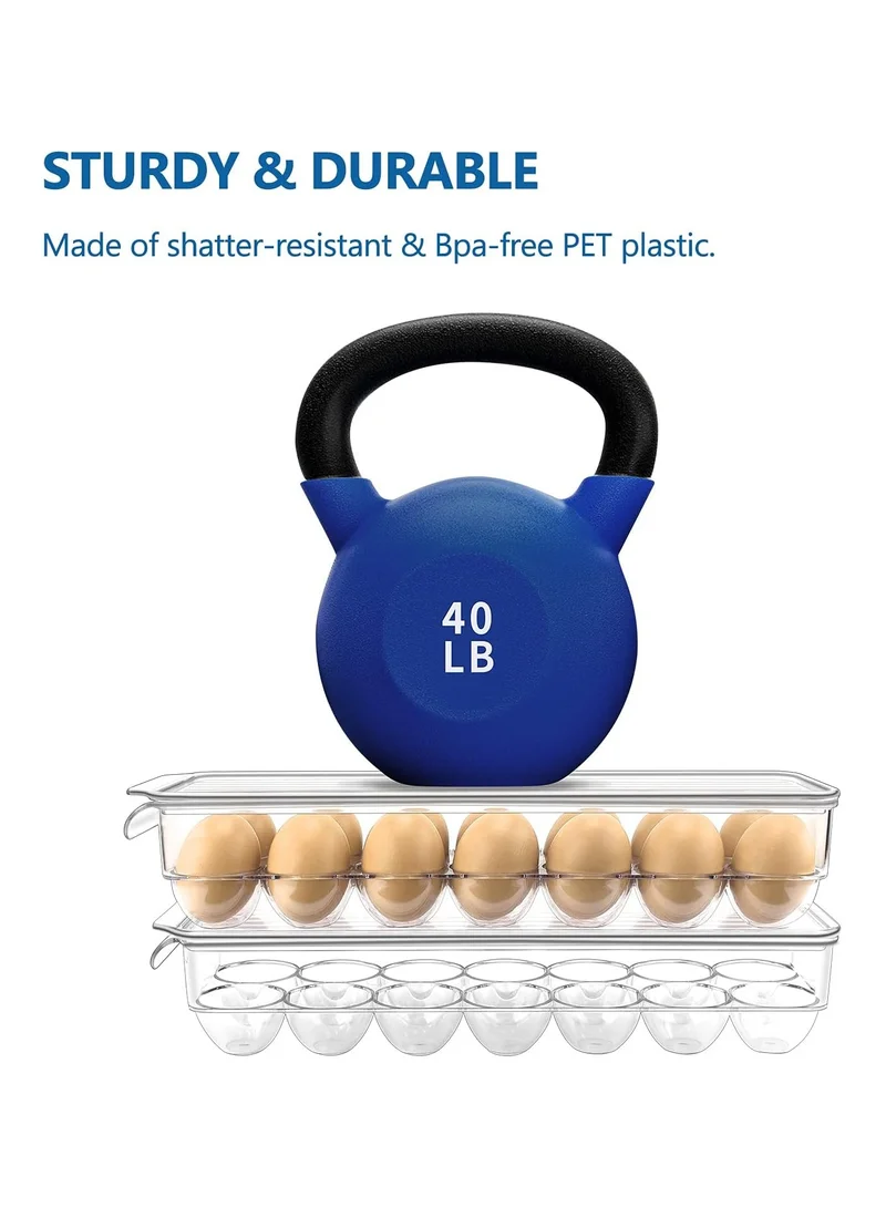 Quesera  TWO LAYER EGG STORAGE BOX FOR NEAT AND TIDY REFRIGERATORS  | Best Price UAE