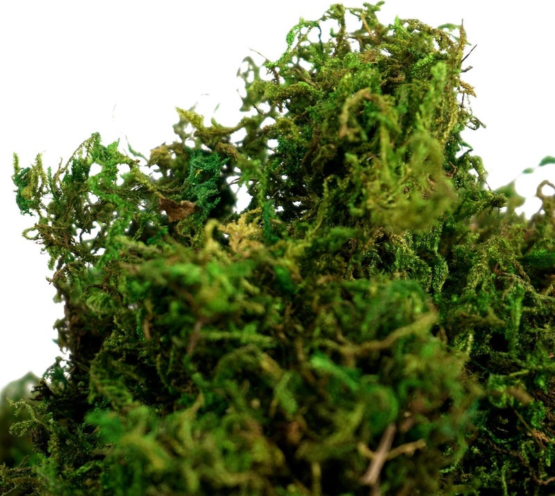 BYHER Artificial Moss Fake Green Grass for Centerpieces Home Kitchen Garden Decor (8OZ, Fresh) - Image 3