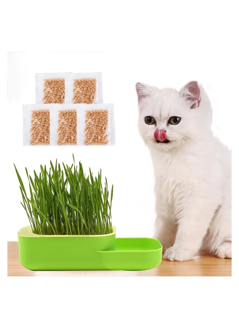DMG TECH - Cat Grass, New Potted Wheat Seed for Cat Grass Cultivation with Soilless Water Culture and Multi functional Aid in Digestion of Cat Snacks, Natural Hairball Control and Digestion Remedy for Cats - Image 1