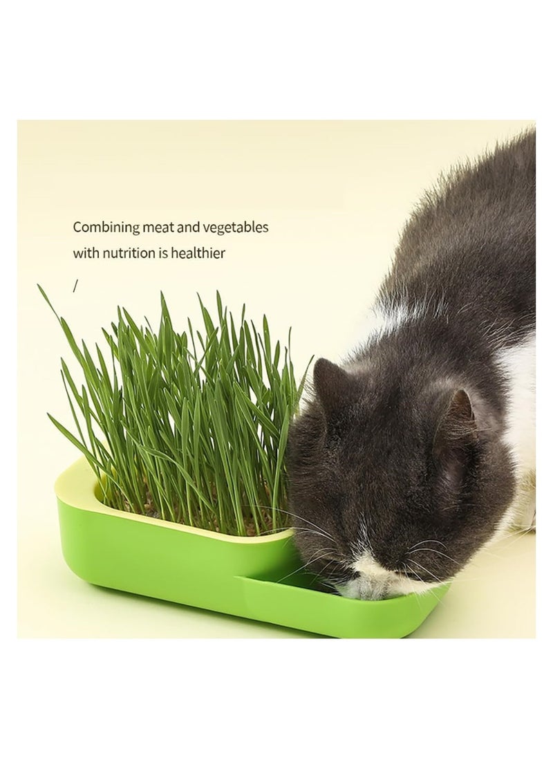 DMG TECH - Cat Grass, New Potted Wheat Seed for Cat Grass Cultivation with Soilless Water Culture and Multi functional Aid in Digestion of Cat Snacks, Natural Hairball Control and Digestion Remedy for Cats - Image 1