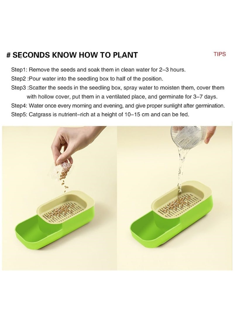 DMG TECH - Cat Grass, New Potted Wheat Seed for Cat Grass Cultivation with Soilless Water Culture and Multi functional Aid in Digestion of Cat Snacks, Natural Hairball Control and Digestion Remedy for Cats - Image 1