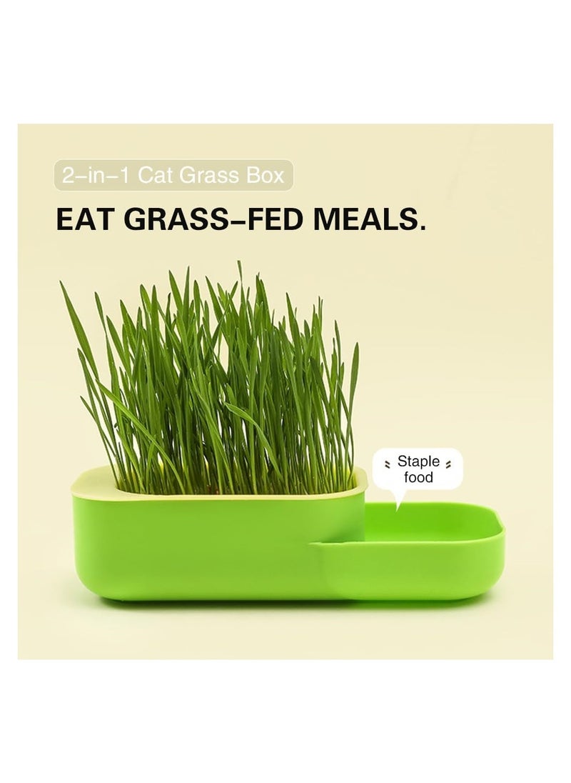 DMG TECH - Cat Grass, New Potted Wheat Seed for Cat Grass Cultivation with Soilless Water Culture and Multi functional Aid in Digestion of Cat Snacks, Natural Hairball Control and Digestion Remedy for Cats - Image 1