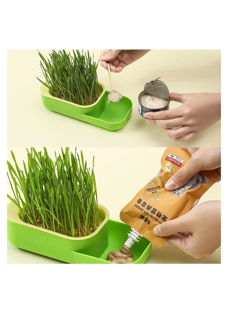 DMG TECH - Cat Grass, New Potted Wheat Seed for Cat Grass Cultivation with Soilless Water Culture and Multi functional Aid in Digestion of Cat Snacks, Natural Hairball Control and Digestion Remedy for Cats - Image 1