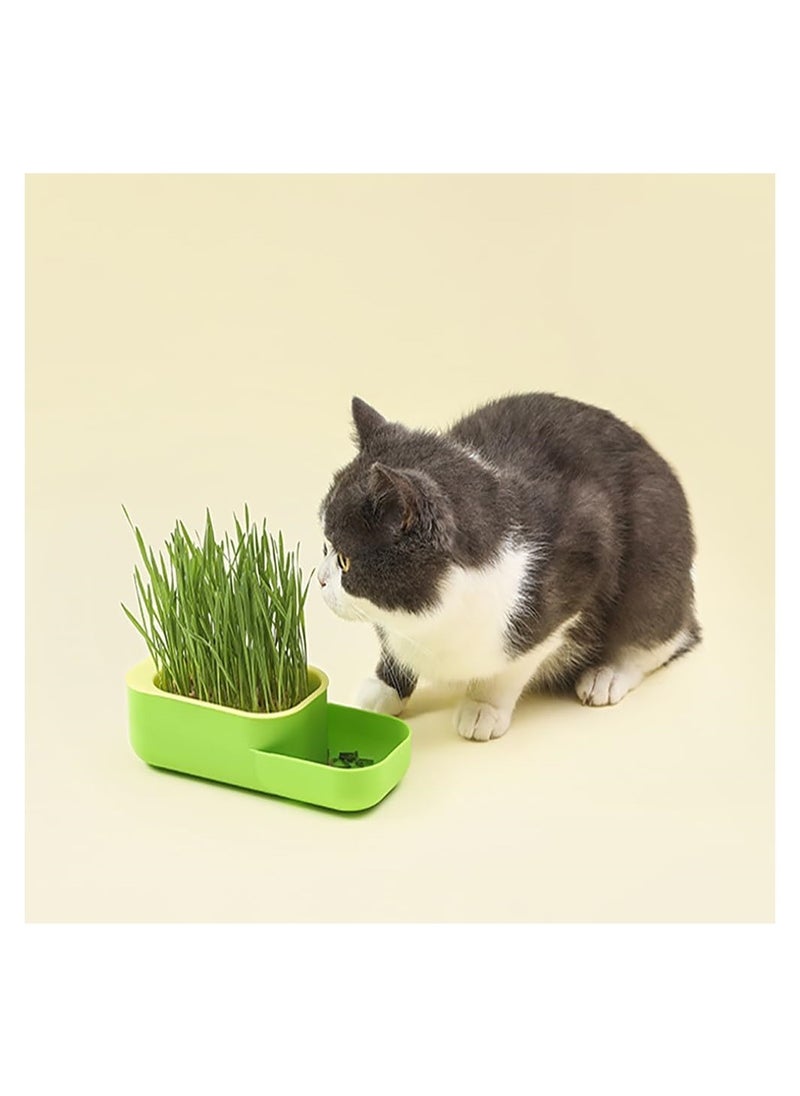 DMG TECH - Cat Grass, New Potted Wheat Seed for Cat Grass Cultivation with Soilless Water Culture and Multi functional Aid in Digestion of Cat Snacks, Natural Hairball Control and Digestion Remedy for Cats - Image 1