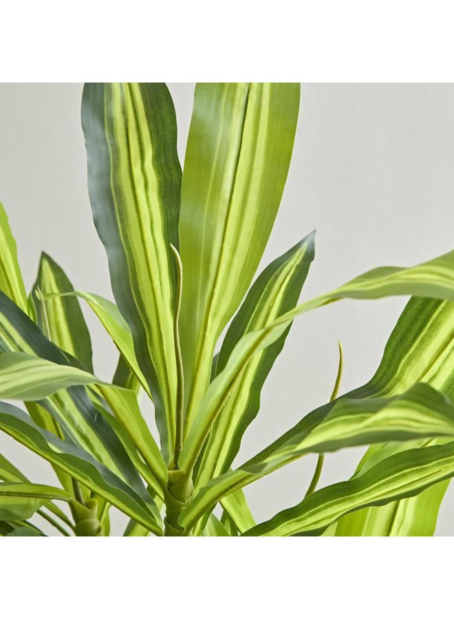 ثيودور شجرة دراسينا صناعية 150 سم - Image 2