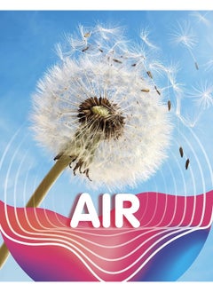 Air  - Image 3