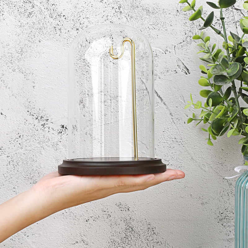 JUXYES Clear Watch Glass Display Dome Cloche With Hook, Dome Cloche with Hook with Wooden Base, Transparent Dome Cloche Bell Terrarium Jar Glass Cloche Bell Jar Display for Watch Ornaments - Image 3