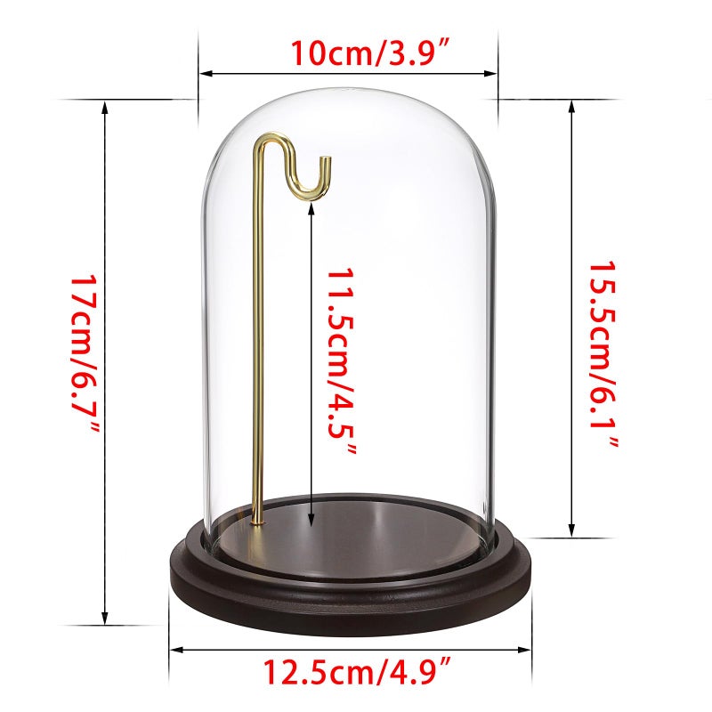 JUXYES Clear Watch Glass Display Dome Cloche With Hook, Dome Cloche with Hook with Wooden Base, Transparent Dome Cloche Bell Terrarium Jar Glass Cloche Bell Jar Display for Watch Ornaments - Image 2