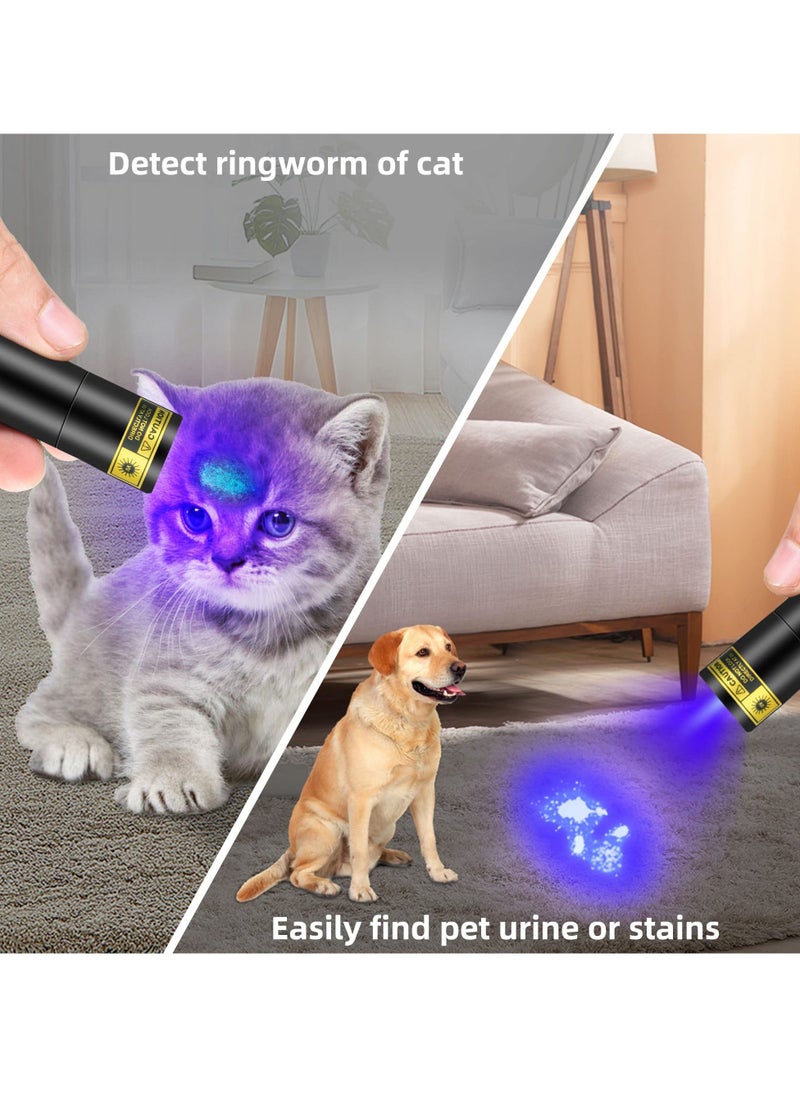 Y&D - UV Flashlight 365nm - Portable Rechargeable Mini Blacklight LED Ultraviolet Light for Detecting Pet Urine Stains, Fluorescent Material, Money and Amber - Image 1
