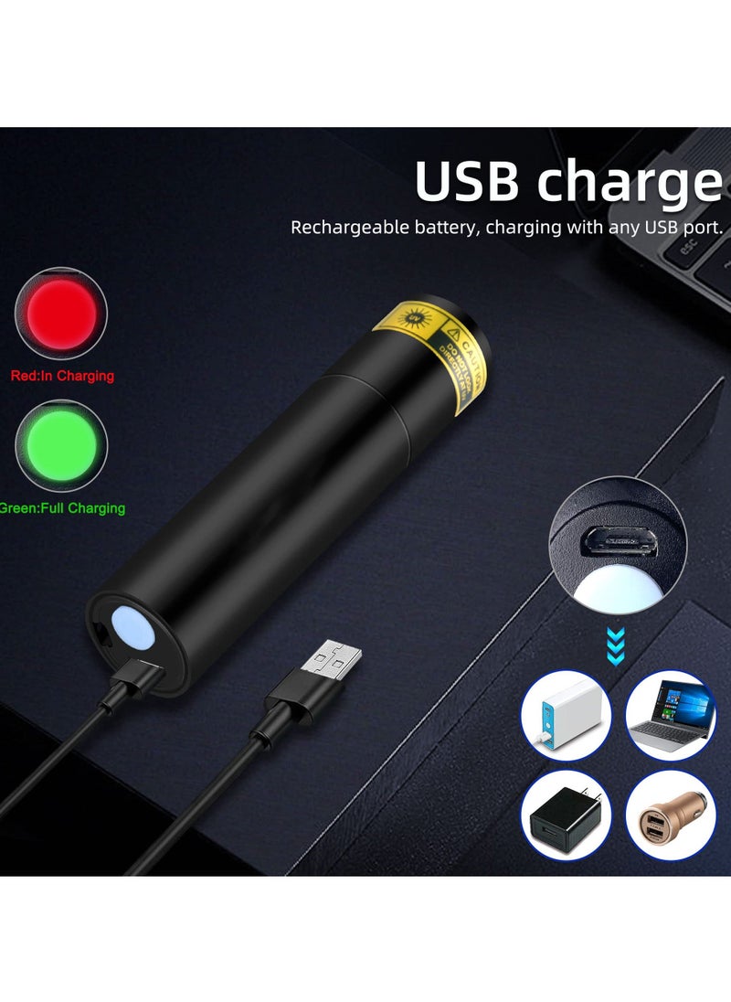 Y&D - UV Flashlight 365nm - Portable Rechargeable Mini Blacklight LED Ultraviolet Light for Detecting Pet Urine Stains, Fluorescent Material, Money and Amber - Image 1