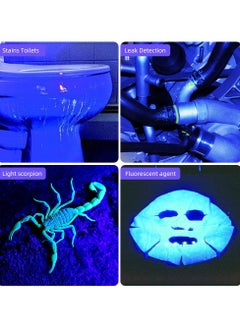 Y&D UV Flashlight 365nm - Portable Rechargeable Mini Blacklight LED Ultraviolet Light for Detecting Pet Urine Stains, Fluorescent Material, Money and Amber  - Image 5