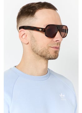 adidas Originals Men OR012552E59 Oversized Sunglasses, Brown  - Image 2
