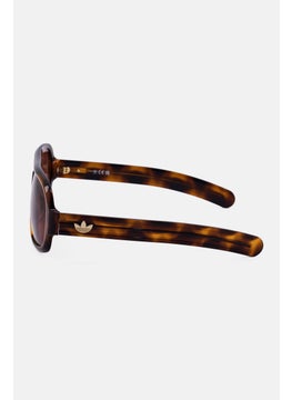 adidas Originals Men OR012552E59 Oversized Sunglasses, Brown  - Image 4