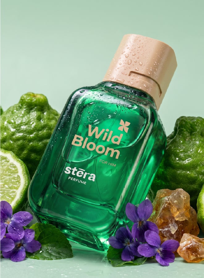 Stera Perfume BOLD LIFESTYLE Men's Perfume Set of 4 - TOUCH WOOD + VIVID RUSH + NIGHT AMBER + WILD BLOOM, Eau De Parfum - 50ml (Each), Premium Gift Set For Men - Image 5