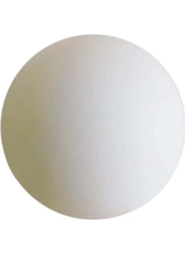 YYB Table Tennis Ping Pong Ball White 12 Pieces