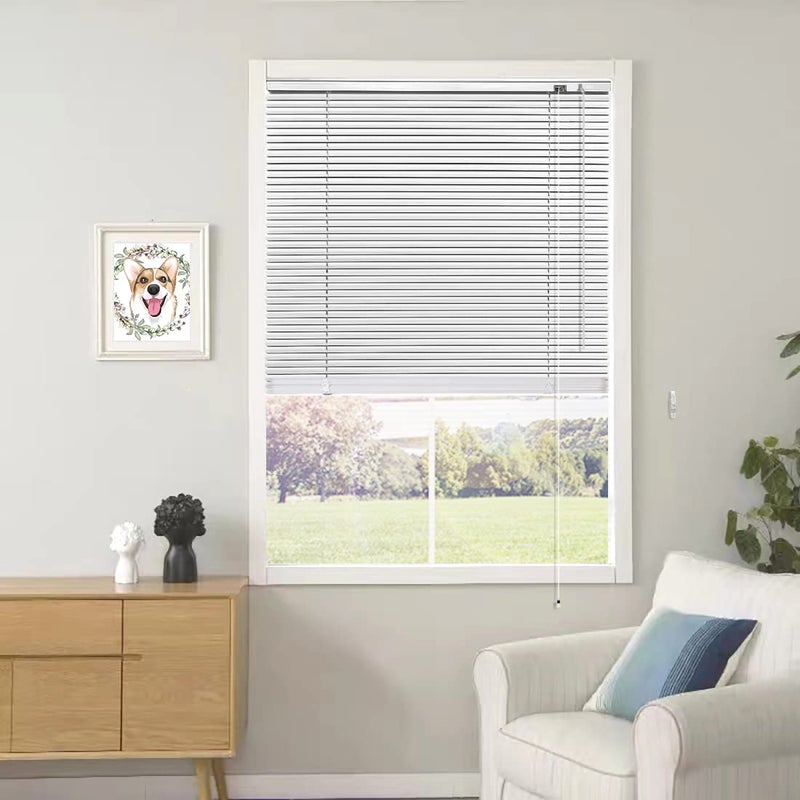YIIBAII Mini Blinds Suitable for 36 W x 64 H Windows 1 Aluminum Horizontal Venetian Blinds Darkening with Rope and Pole can Mounted Inside or Outside