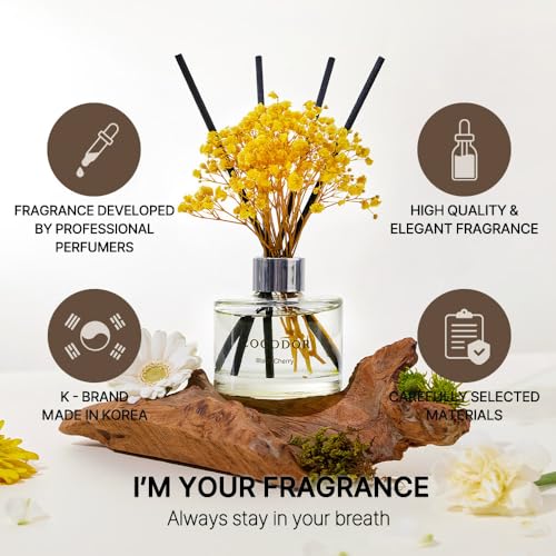 COCODOR Preserved Flower Reed Diffuser/Flower Garden/6.7oz/1Pack / Home Fragrance Scent Essential Oil Stick Diffuser for Bedroom Bathroom Home Décor - Image 2