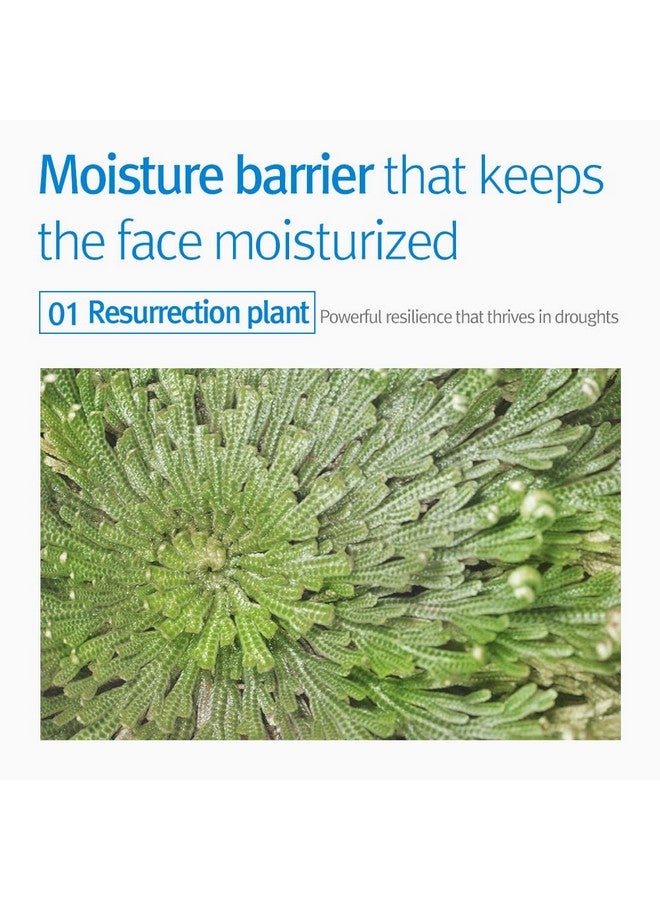 كريم للأطفال والرضع 400 مل/23.52 أونصة سائلة - Image 4