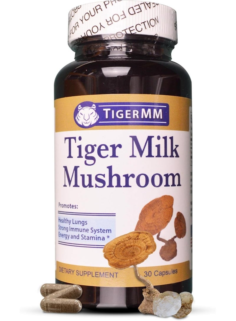 Tiger Milk Mushroom (Lignosus rhino) USA Lung Respiratory Immune Support 450mg capsule