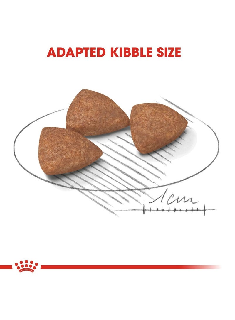 رويال كانين سايز هيلث نيوتريشن ميني إندور أدلت 1.5 كجم - Image 2