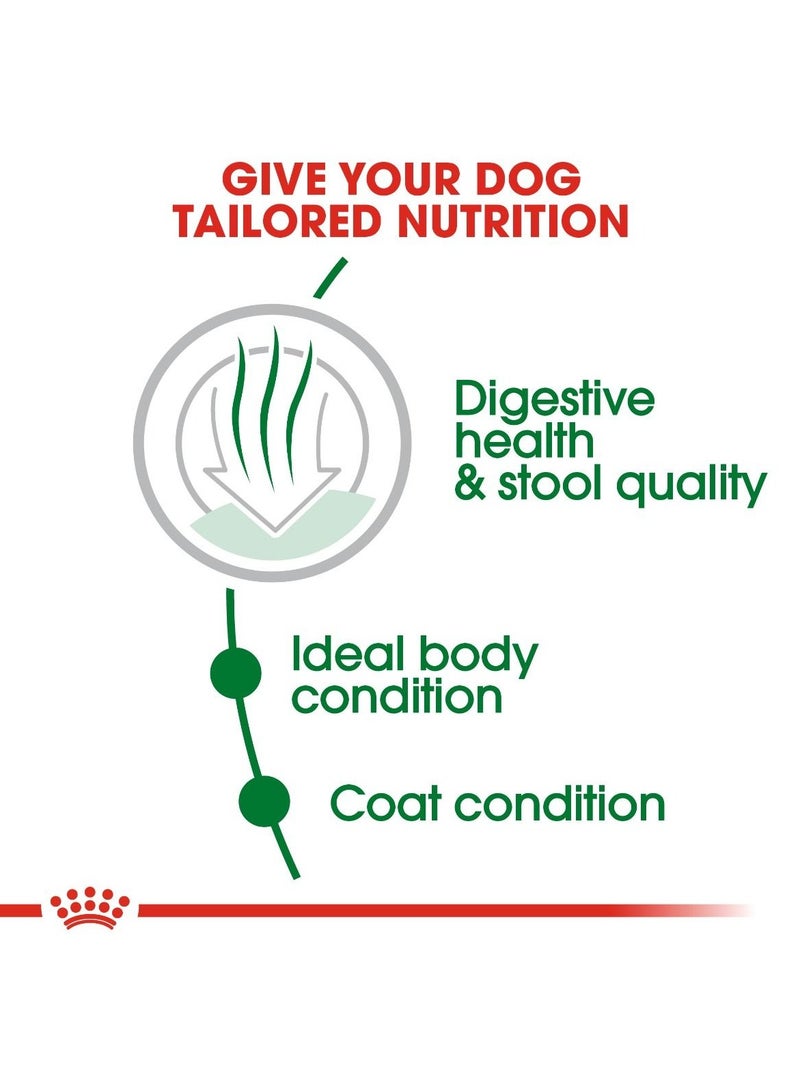 رويال كانين سايز هيلث نيوتريشن ميني إندور أدلت 1.5 كجم - Image 4
