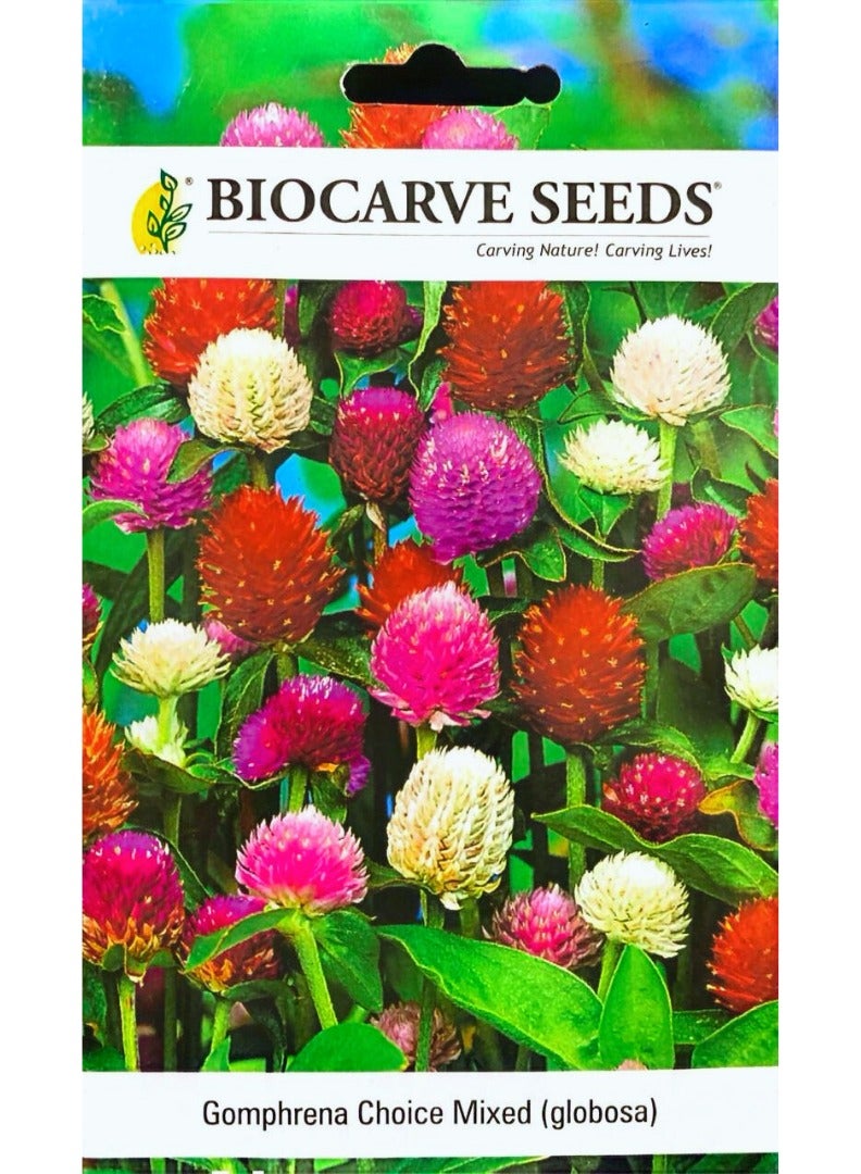 BIOCARVE SEEDS BIOCARVE Gomphrena Flower Seeds Selected Mix