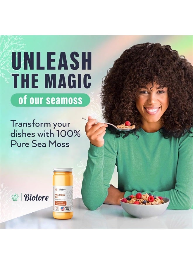Biolore Sea Moss Gel Mango-Pineapple 16Oz Made in USA - Supercharge Your Health Raw Wildcrafted Irish Seamoss - Essential Vitamins & Minerals - Antioxidant-Rich Vegan Superfood for Immune Support - Image 3