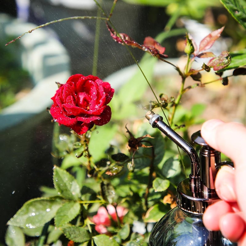 OFFIDIX Glass Plant Spray Bottle Plants Mister for Inside Small Watering Can for Indoor House Vintage Plant Spritzer Succulent Watering Sprayer Bottle - Image 5