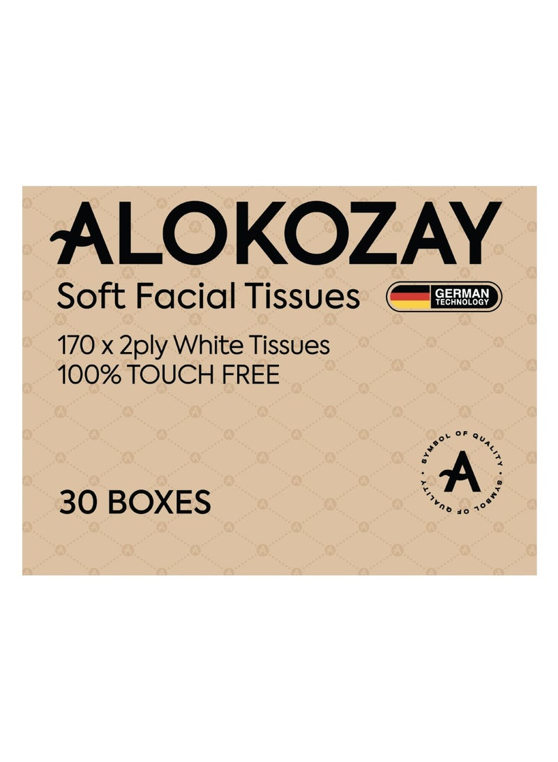 Alokozay Soft Facial Tissues - 170 Sheets X 2 Ply Pack of 30 - Image 1