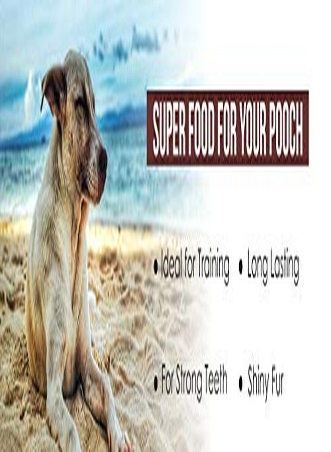 ROBUST Long Lasting All-Natural Dog Chew Bones To Keep Your Dog Entertained - 4 Inches (15 Units) | Premium Compressed Rawhide Chews For Small, Medium & Large Dogs - Image 5