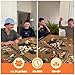 Spin Master Games SolidRoots Escaping Extinction Cooperative Strategy Board Game from The Makers of Mind The Gap Easter Gift 14 Players for Ages 12 Up - Image 4