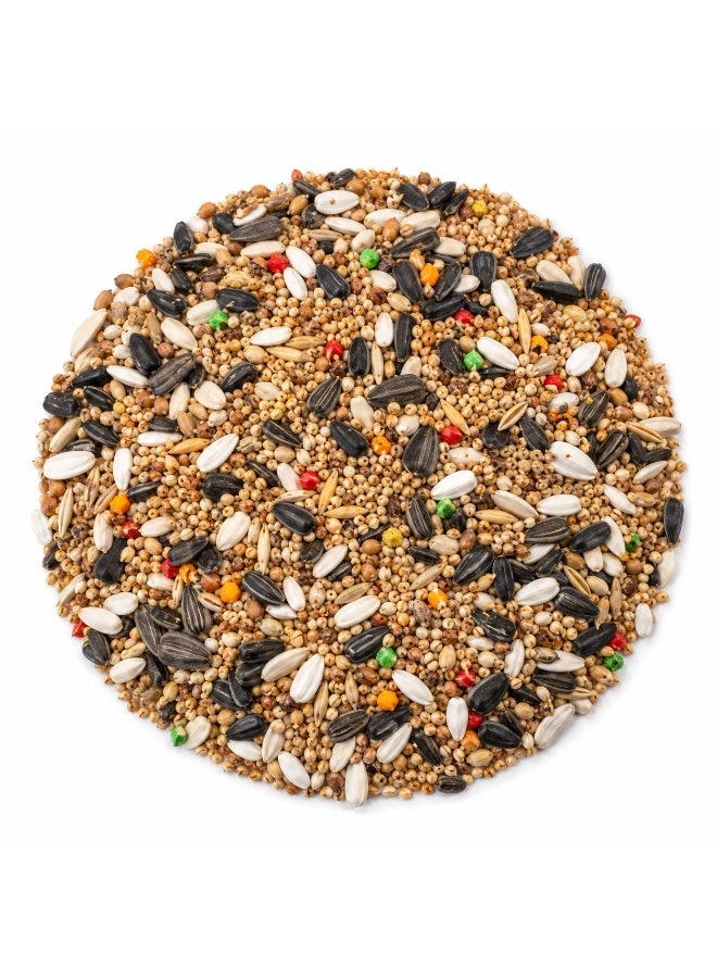 Inter nutri Internutri Fischer's Mix 20kg – Premium Complete Seed Feed for Adult Lovebirds and Cocktails (Made in Portugal) - Image 2