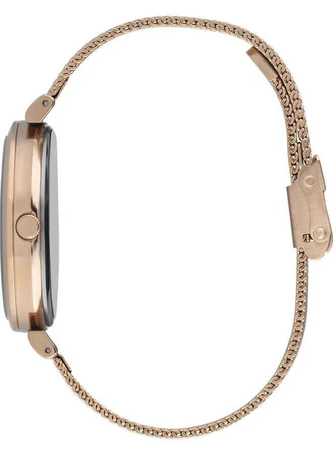 Slazenger Women's Mesh Analog Watch SL.9.6113.3.01 - 36 mm