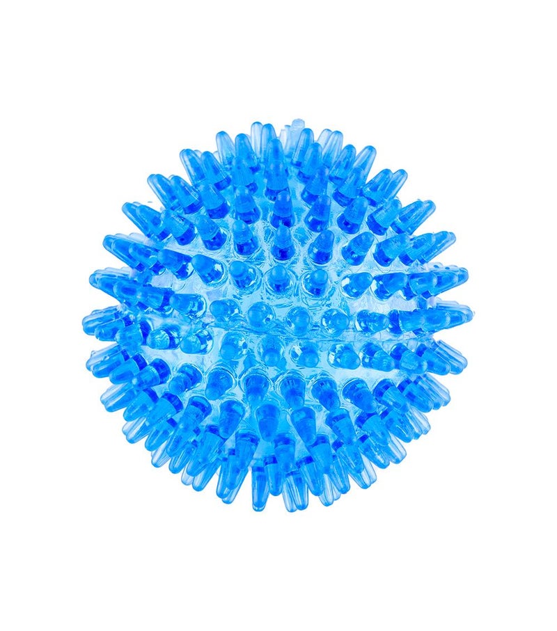 Daiso Noise Making Pet Toy Blue – Interactive Squeaky Toy for Dogs & Pets - Image 1