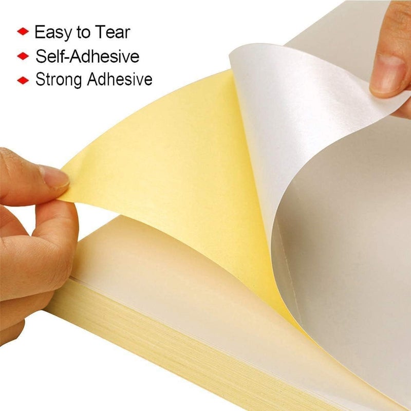 Sticker Paper, A4 (21 x 29.7cm), White, Glossy Finish. (20 Sheets, A4) - Image 2