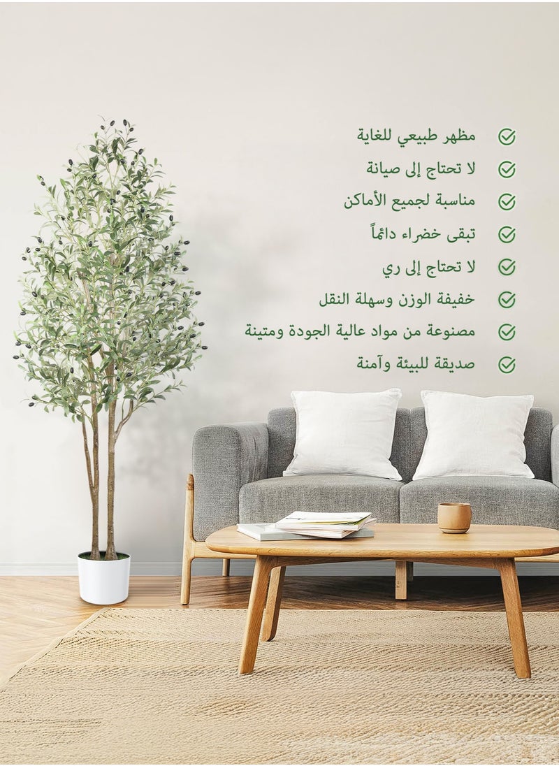 Zvezvia Dual-Stem Artificial Olive Tree with Realistic Trunk & Lifelike Fruits, Fake Olive Tree with White Planter for Home Balcony Office Garden Room Decor Gift  - Image 4
