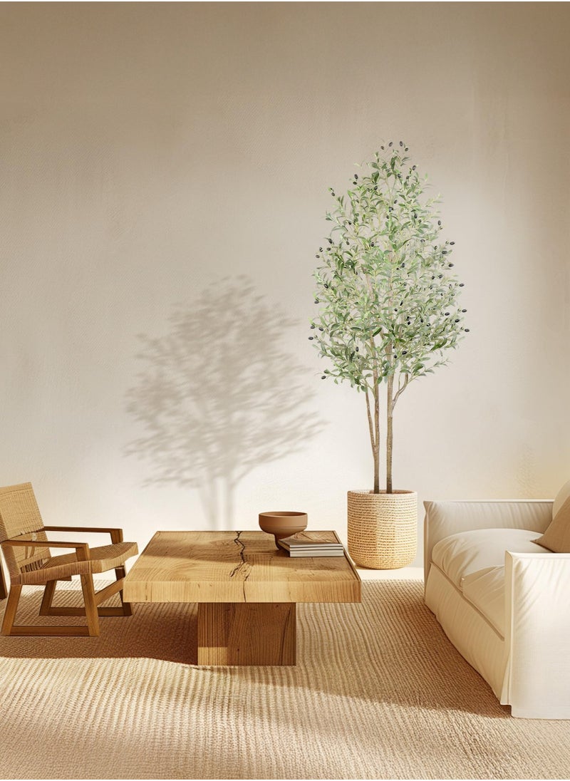 Zvezvia Dual-Stem Artificial Olive Tree with Realistic Trunk & Lifelike Fruits, Fake Olive Tree with White Planter for Home Balcony Office Garden Room Decor Gift  - Image 5